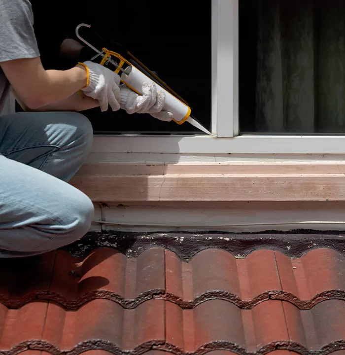 Roof Window Services in San Carlos, California