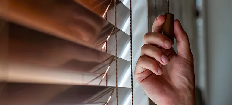 Double Roller Blinds in San Carlos, CA