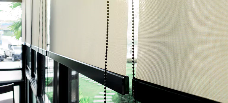 Blackout Window Shades in San Carlos, CA