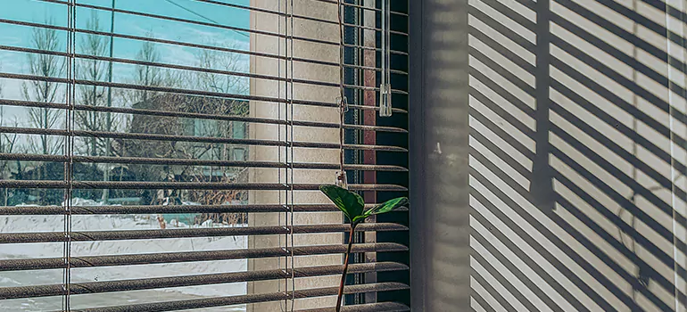 Commercial Window Blinds in San Carlos, CA