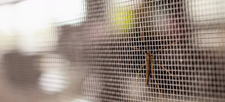 Repair Mosquito Mesh For Windows in San Carlos, CA