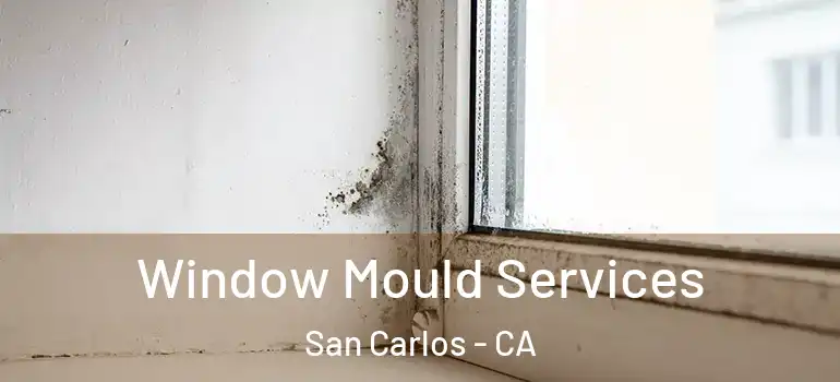  Window Mould Services San Carlos - CA
