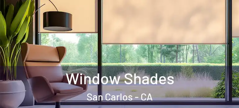  Window Shades San Carlos - CA